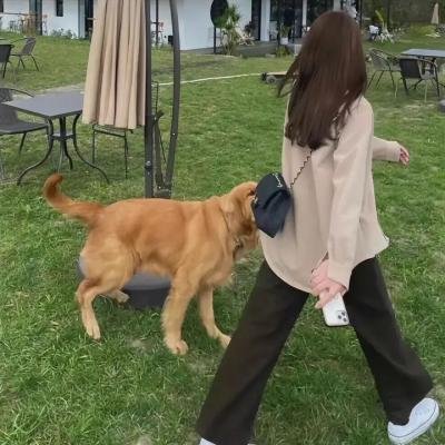不要见怪